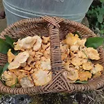 Maison Emile Teissier Bed & Breakfast